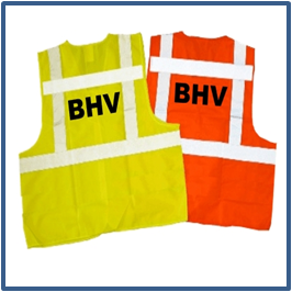 bhvicoonkleur.png